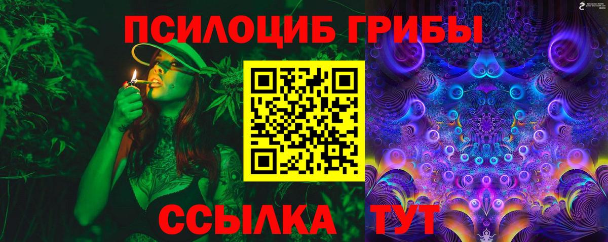 Галлюциногенные грибы Psilocybe  Вход с VPN  Бор 